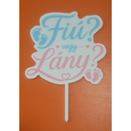 Fiú vagy Lány színes beszúrható dísz tappancsokkal